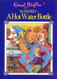 Image of Wanted : a hot water bottle