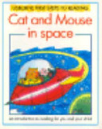 Image of Cat and mouse in space