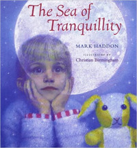 Image of The sea of tranquillity