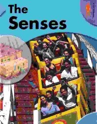 Image of The senses