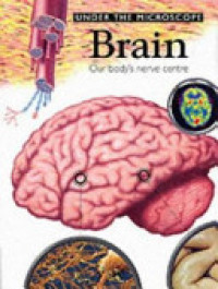 Image of Brain : our body's nerve center