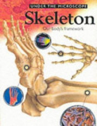 Image of Skeleton : our body's framework