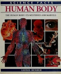 Image of Human body