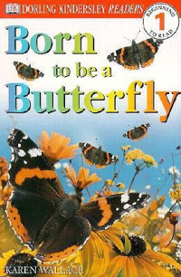 Image of Born to be a butterfly