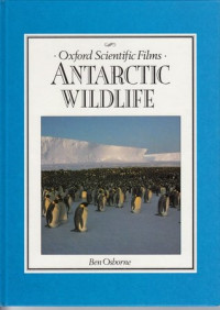 Image of Antarctic wildlife