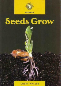 Image of Seeds grow