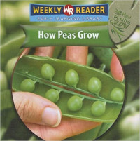 Image of How peas grow