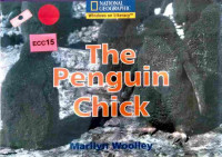 Image of The penguin chick