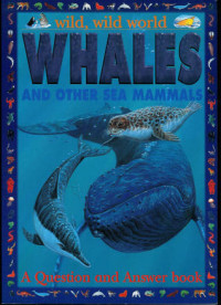 Image of Whales and other sea mammals : a question and answer book