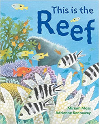Image of This is the reef