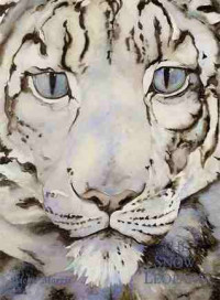 Image of The snow leopard
