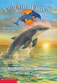 Image of Beyond the sunrise