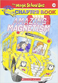 Image of Amazing magnetism