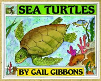 Image of Sea turtles
