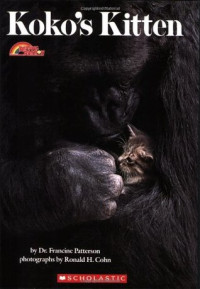 Image of Koko's kitten