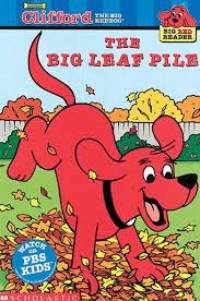 Image of The big leaf pile