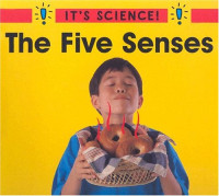 Image of The five senses