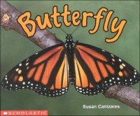 Image of Butterfly