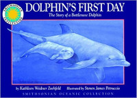 Image of Dolphin's first day : the story of a bottlenose dolphin