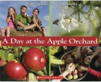 Image of A day at the apple orchard