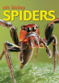 Image of Spiders