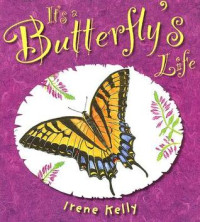 Image of It's a butterfly's life