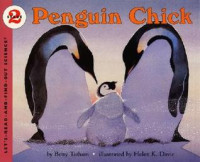Image of Penguin chick