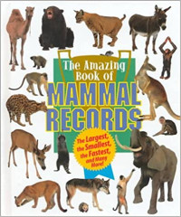 Image of The amazing book of mammal records : the largest, the smallest, the fastest, and many more!