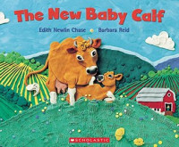 Image of The new baby calf