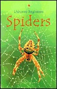 Image of Spiders