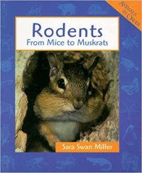 Image of Rodents : from mice to muskrats