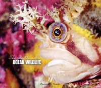 Image of Ocean wildlife