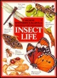 Image of Mysteries & marvels of insect life