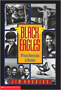 Image of Black eagles : African Americans in aviation
