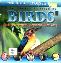 Image of Birds