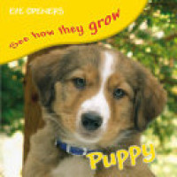 Image of Puppy