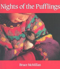 Image of Nights of the pufflings