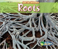 Image of Roots