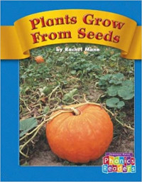 Image of Plants grow from seeds