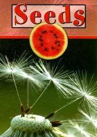 Image of Seeds