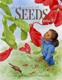 Image of What kinds of seeds are these?