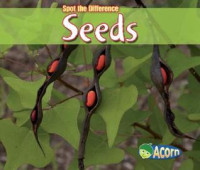Image of Seeds