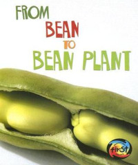 Image of From bean to bean plant