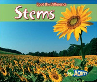 Image of Stems
