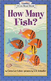 Image of How many fish?