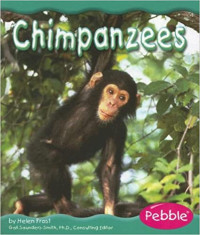 Image of Chimpanzees