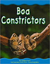 Image of Boa constrictors