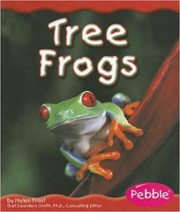 Image of Tree frogs