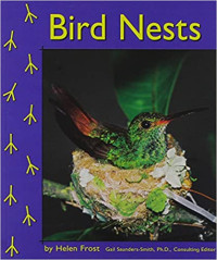 Image of Bird nests
