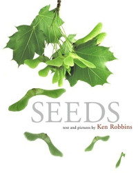 Image of Seeds